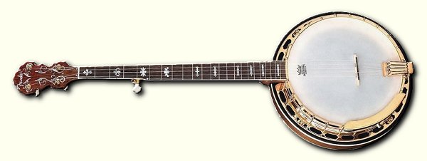 purchase banjos